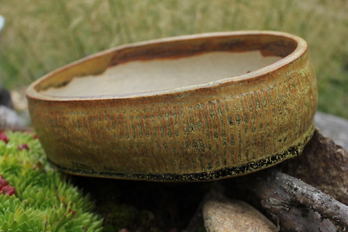 Bonsai miska - ovál II. — foto 2