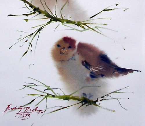 Vrabčáci,originální akvarel — foto 3