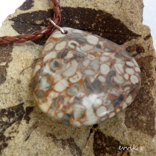 Prvohorní crinoidy — foto 3