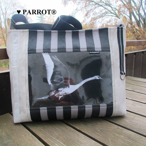 Swan - Labuť VH- PARROT® — foto 3