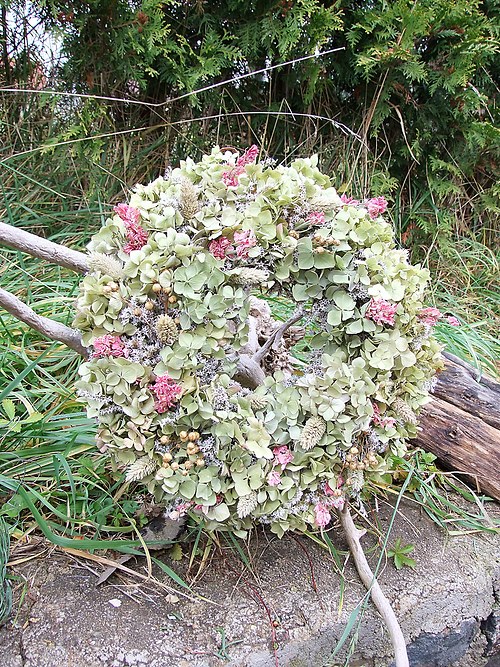 Hortenzie do zelenkava - na přání — foto 2