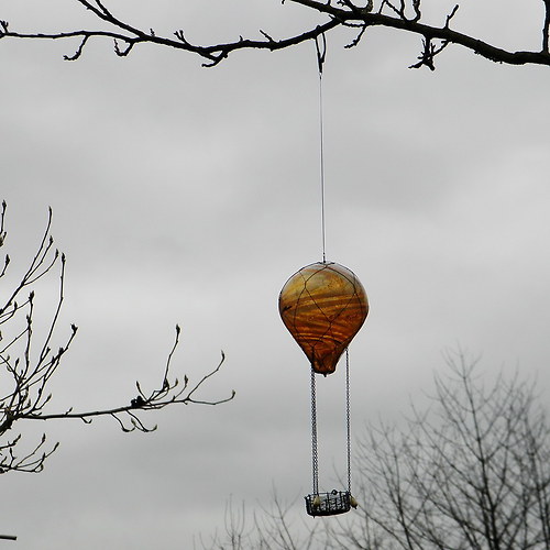Medové cestování - balón — foto 3