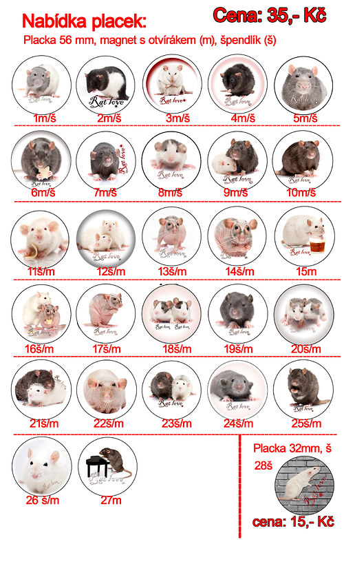 Originální placka s potkany — foto 2