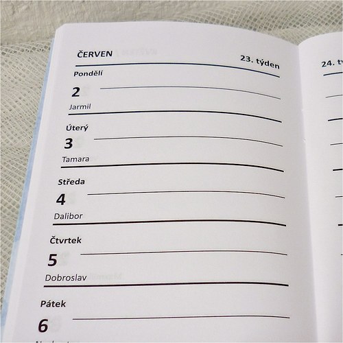 Diář 2014: černobílý — foto 4