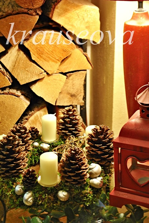 Advent z lesa.. :) — foto 4