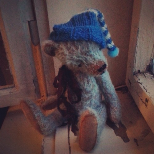 Medvídek Kody — foto 2