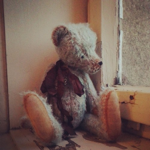 Medvídek Kody — foto 3