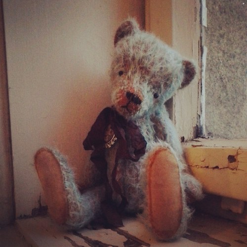 Medvídek Kody — foto 4