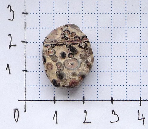 Jaspis leopard — foto 3