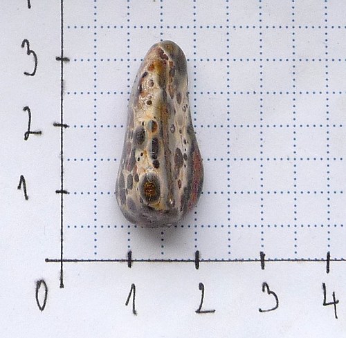 Jaspis leopard — foto 3