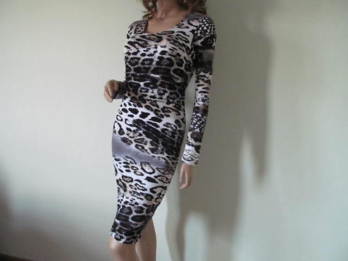 Gepard — foto 2