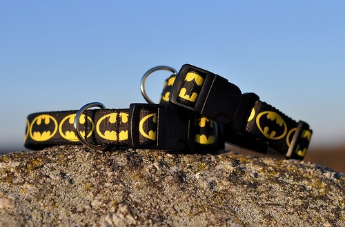 Obojek Batman, šířka 2,5 cm — foto 2