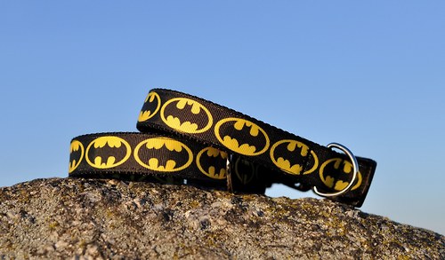 Obojek Batman, šířka 2,5 cm — foto 3