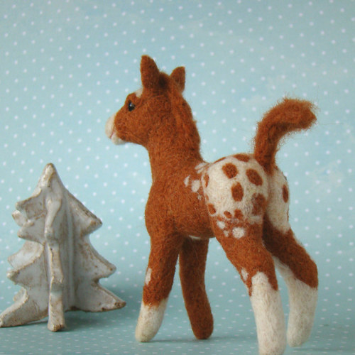 Hříbátko Appaloosa — foto 3
