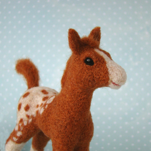 Hříbátko Appaloosa — foto 4