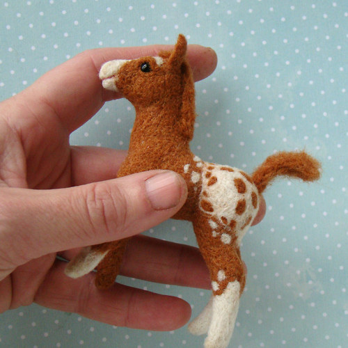Hříbátko Appaloosa — foto 5