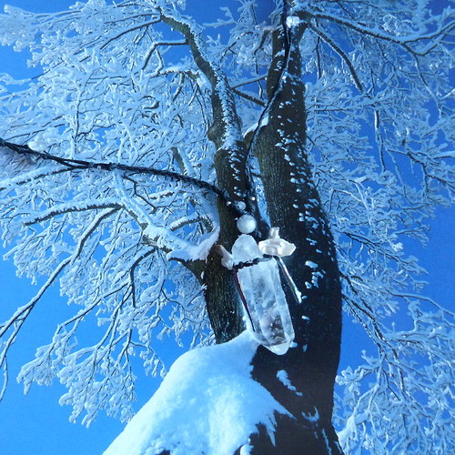 Čistá proměna — foto 2