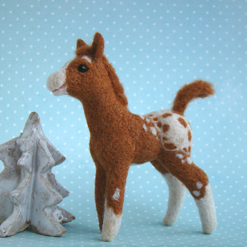 Hříbátko Appaloosa — foto 6