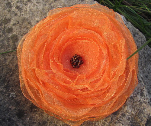 Oranžáda — foto 4
