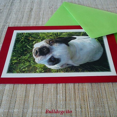 Buldočí kuk... přáníčko — foto 2