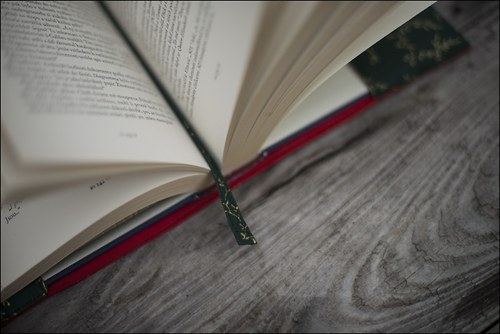 Čtení s červeným sobem — foto 4