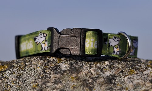 Obojek Russell Terrier zelený — foto 3