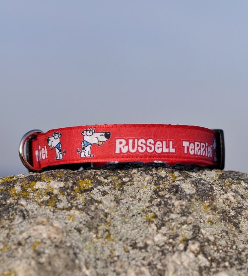 Obojek Russell Terrier červený — foto 2