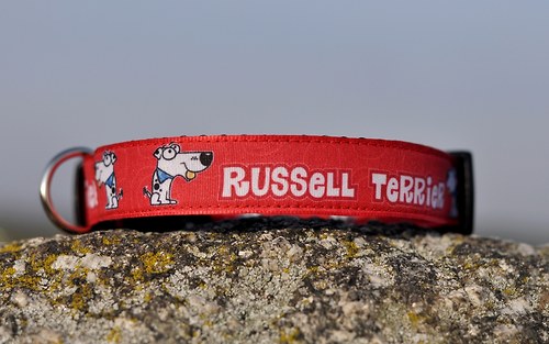 Obojek Russell Terrier červený — foto 3