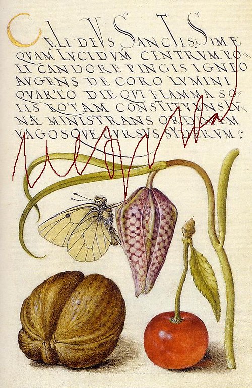 Botanické listy I — foto 5