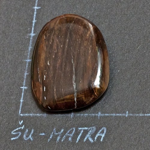 Zkamenělé dřevo - Sleva — foto 2