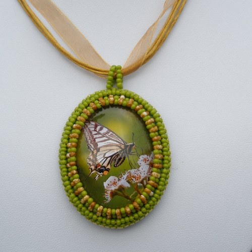 Papilio machaon — foto 2