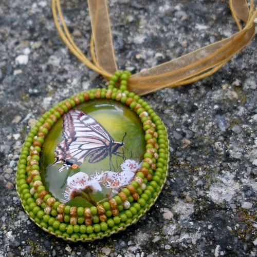 Papilio machaon — foto 3