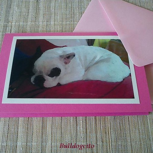 Spící... přání — foto 3