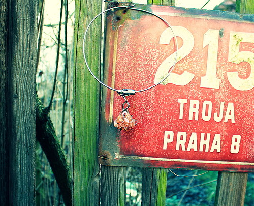 Nerezový náramek...." Thistle "., — foto 5