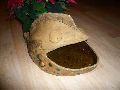 Křivohubá ryba — foto 2