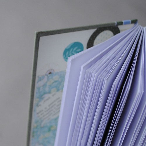 Notes Zasněný zajda — foto 5