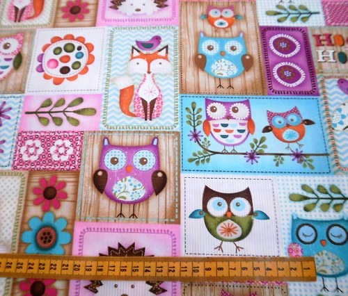 Sovy-Hoot1.. — foto 2