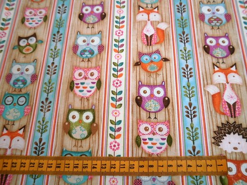 Sovy-Hoot3.. — foto 2
