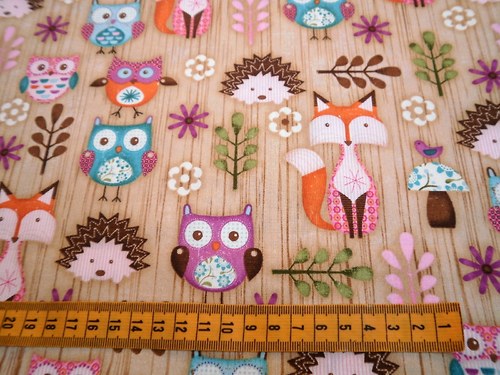 Sovy-Hoot4.. — foto 2