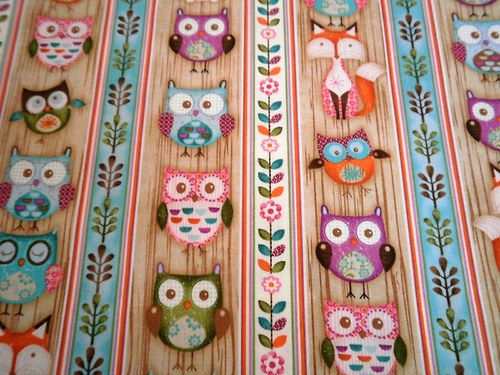 Sovy-Hoot5.. — foto 4