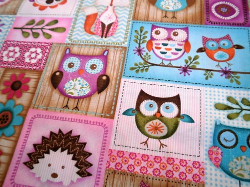 Sovy-Hoot7.. — foto 3