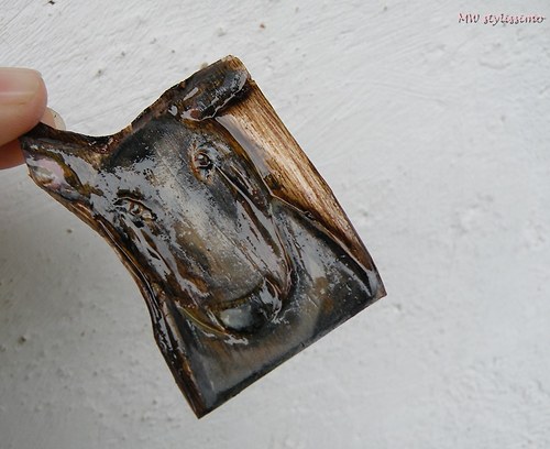 Bulíkoidní... brožka — foto 5