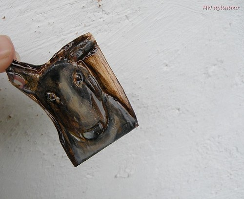 Bulíkoidní... brožka — foto 6