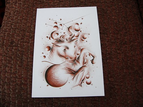 BÝK -(taurus) — foto 3