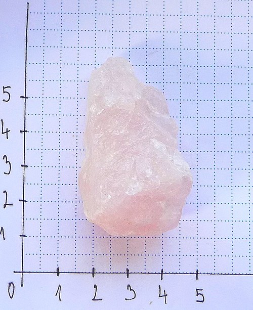 Růženín surový — foto 2