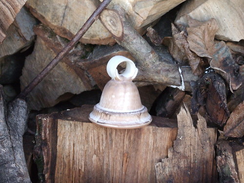Zvoneček malý — foto 3