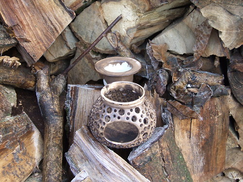 Aromalampa buclatá — foto 2