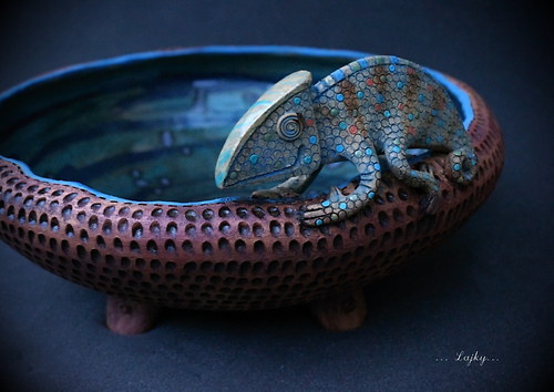 Chameleon v modrém... — foto 4