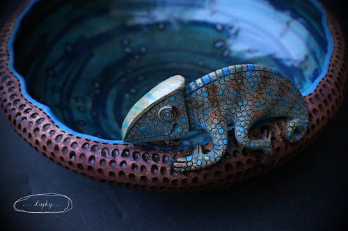 Chameleon v modrém... — foto 5