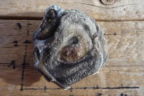 Hadí achát - chalcedonová růže P4399 — foto 2